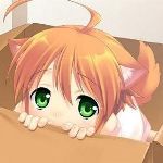 neko-neko
